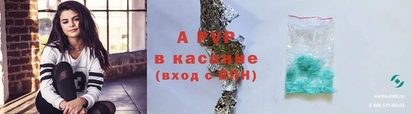 гашик Волосово