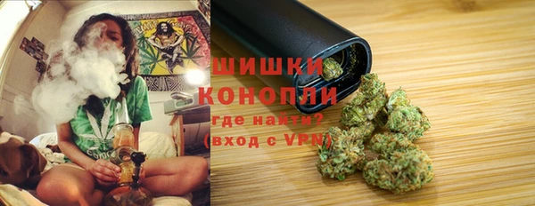 гашик Волосово